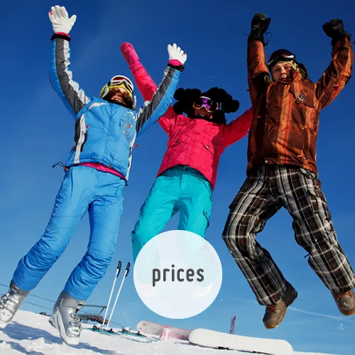 Subscription pricing and benefits visualization
