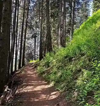 La Tania