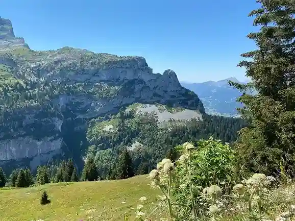Rauris